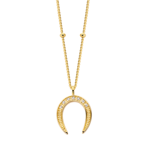 Crescent Moon Necklace